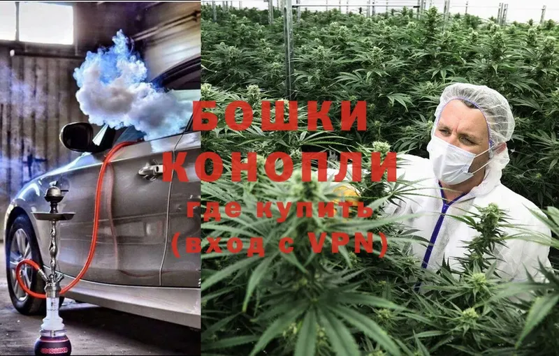 где купить наркоту  Нефтеюганск  blacksprut маркетплейс  Бошки марихуана Ganja 